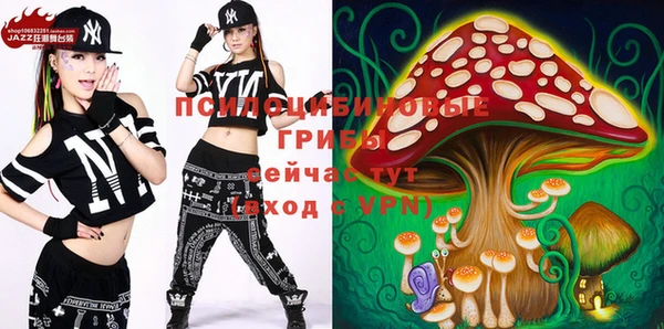 бошки Дмитровск
