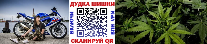 Конопля MAZAR Дубна